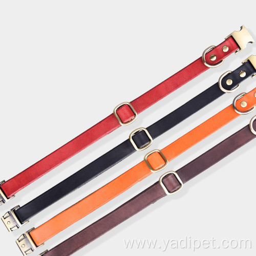 Leather Personalised Cat dog Collars